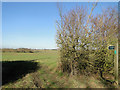 Footpath to Framlingham