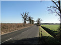 TM3363 : Country road between Sweffling and Framlingham by Adrian S Pye