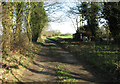 Track to moated site, Guestwick