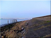 TQ7279 : A remote point on the marsh coast of North Kent by Stefan Czapski