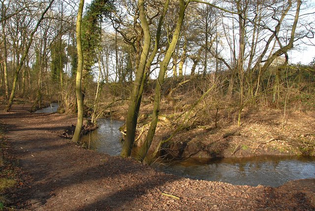 Forge Brook