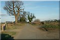 Country lane, close to Thurston