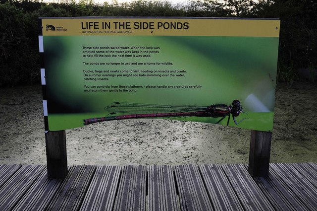 Lock Side Pond Information Board