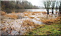 Flooding, Quoile Pondage, Downpatrick