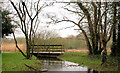 Footbridge, Downpatrick (4)