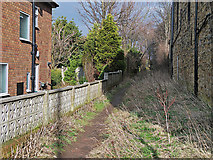 SE2033 : Bridleway off Owlcotes Road by michael ely