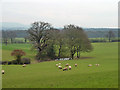 A pastoral scene, North Holmwood