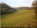 Small valley north of Hoarwithy