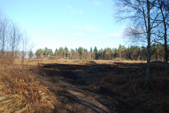 Broadwater Warren Nature Reserve:... © N Chadwick :: Geograph Britain ...