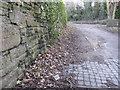 The track bed of the former Holywell Town railway - 1