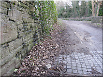 SJ1876 : The track bed of the former Holywell Town railway - 1 by John S Turner