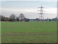 Pylon on the outskirts of Royston