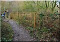 Footbridge over the river Douglas