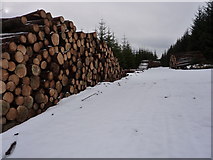 NJ4232 : Large pile of logs by a snowy forest track by Peter Aikman