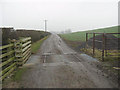 Cattle grid on farm access road