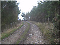 Footpath to Heugh and beyond