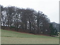 Frosty field near Berwick St Leonard