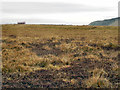 Harden Moor and Whittle Hill