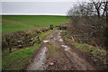 A lane leaving Lower Metcombe Farm and crossing Knowl Water