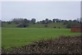 Embankment East of Eydon