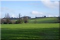 SP5159 : Lower Catesby Farmland by Ian Rob