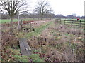 Railway sleeper bridge near West End