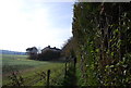 Footpath near Hollingbourne