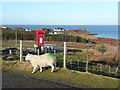 Letterbox with a view