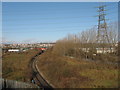 Railway line from Newport Docks