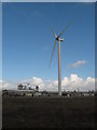 Wind turbine, Solutia, Newport