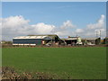 ST3583 : Cross Farm, near Nash by Gareth James