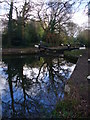 Above Woodham Lock No. 5