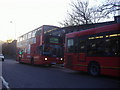 Buses at stop, Edmonton Green