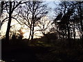 View towards Bensbury, Wimbledon Common, at sunset