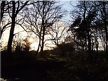 TQ2271 : View towards Bensbury, Wimbledon Common, at sunset by Stefan Czapski