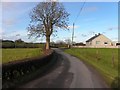 Clogherny Road, Radergan