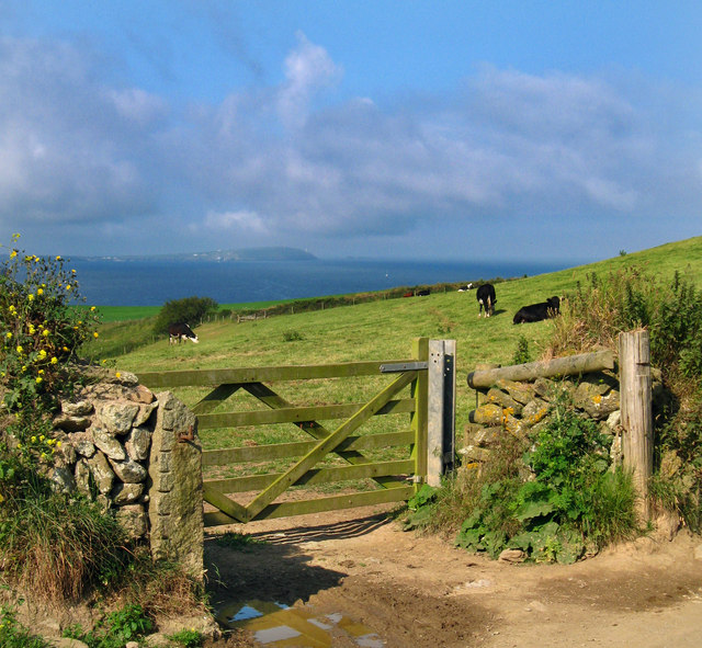 Farm gate near Pentire Farm