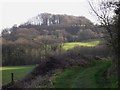 Looking towards Bradshott Wood from track by Smoky House