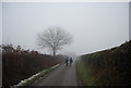 Walking along Ronhill Lane