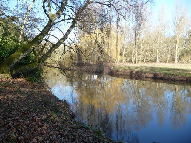 River Tern, Attingham Park © Richard Greenwood :: Geograph Britain and ...