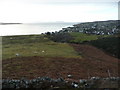 Bracken and pasture east of Strath