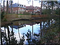 Basingstoke Canal by Woodham Hall