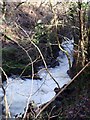 River Carron gorge, Fankerton