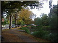 The pond at Letchmore Heath