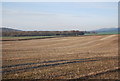 TQ8455 : Field by Pilgrims' Way by N Chadwick