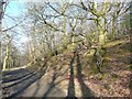 Path into Ravenscliffe Wood, Calverley