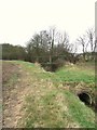 Footpath And Bridge