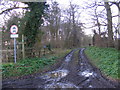 TM3660 : Harrow Lane Byway to Low Road by Geographer