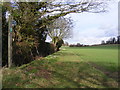 TM3661 : Footpath to St.Mary's Church by Geographer