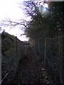 Footpath next to Hospital Grove